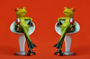 frogs-1397997_640