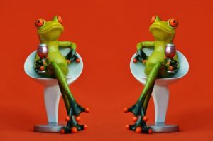 frogs-1397997_640