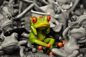 frogs-1413727_640