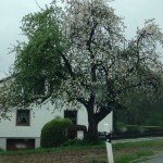 Sitout – Stopp’ Dich voran