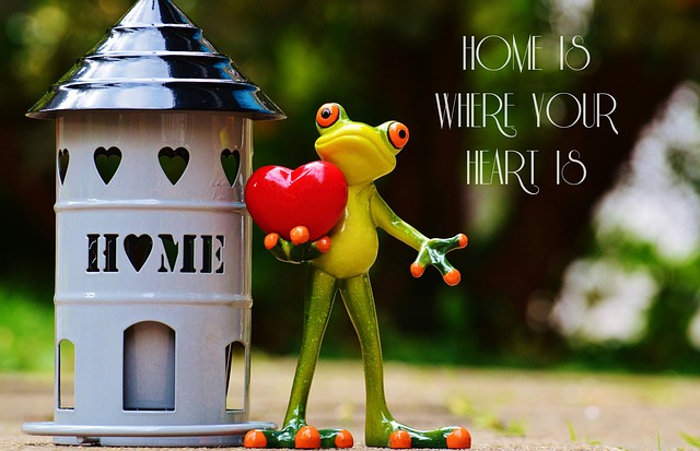 Frosch vorm Haus mit dem Text Home is where your heart is, damit sich Praxismieter wohl und willkommen fühlen